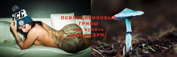 ECSTASY Абаза