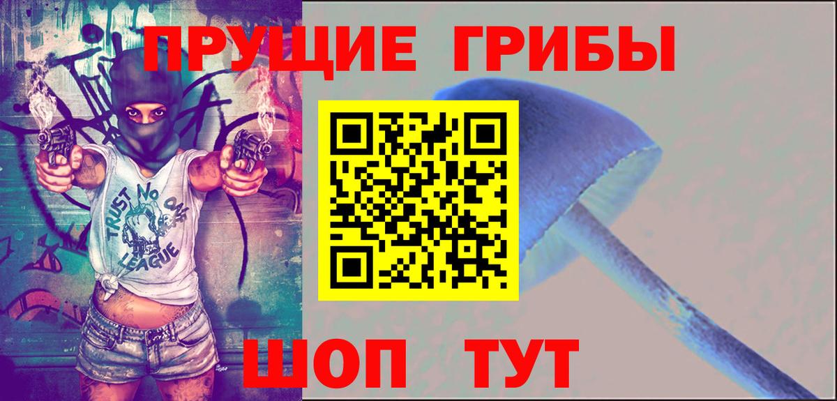 Псилоцибиновые грибы MAGIC MUSHROOMS Богородск
